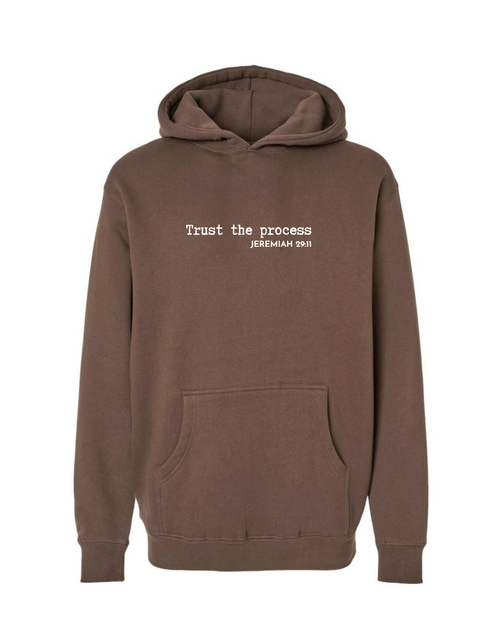 Trust The Process (Jeremiah 29:11) Hoodie