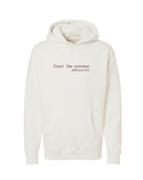 Trust The Process (Jeremiah 29:11) Hoodie