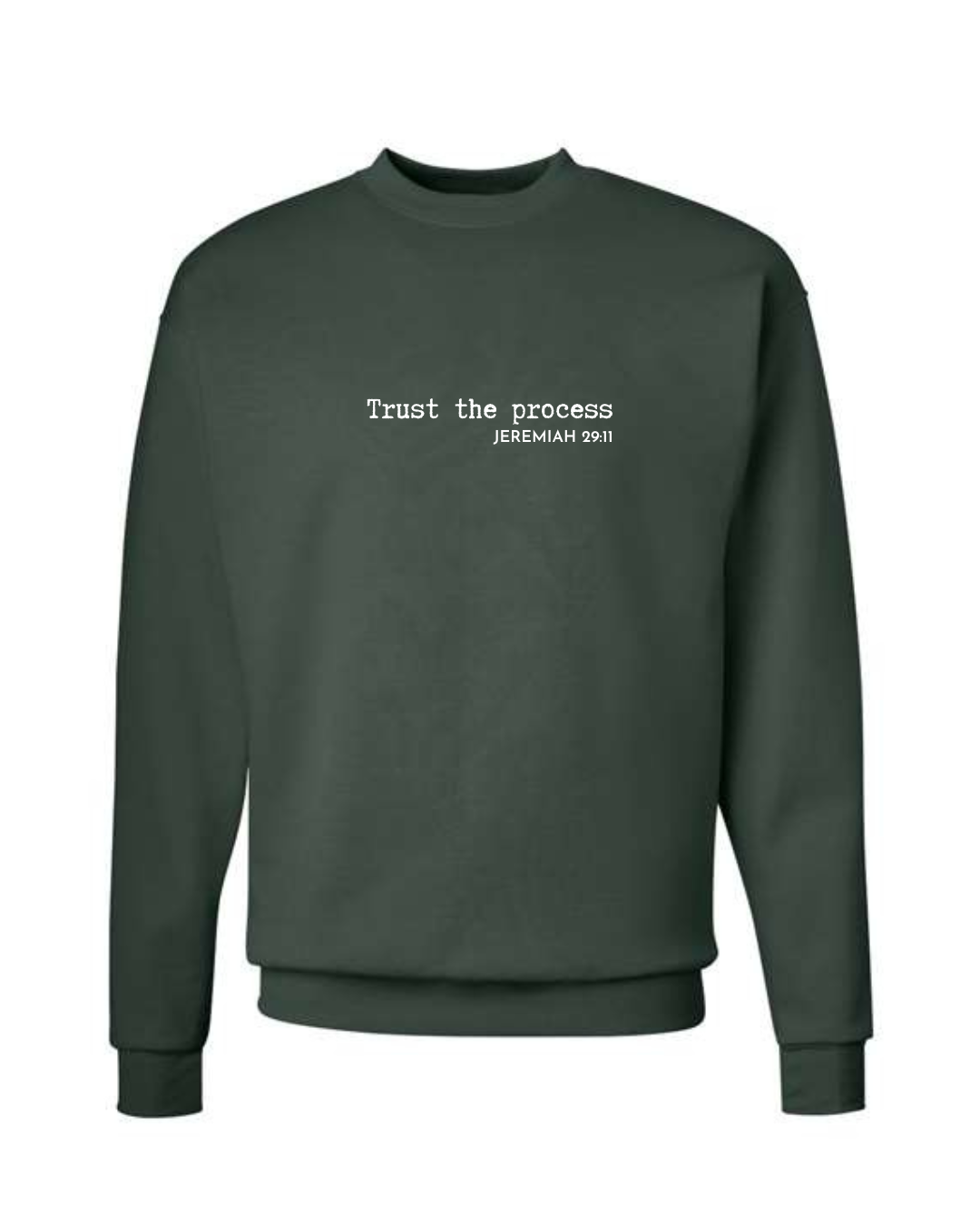 Trust The Process (Jeremiah 29:11) Sweatshirt