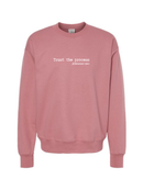 Trust The Process (Jeremiah 29:11) Sweatshirt