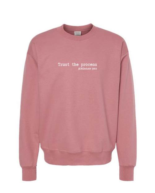 Trust The Process (Jeremiah 29:11) Sweatshirt