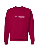 Trust The Process (Jeremiah 29:11) Sweatshirt