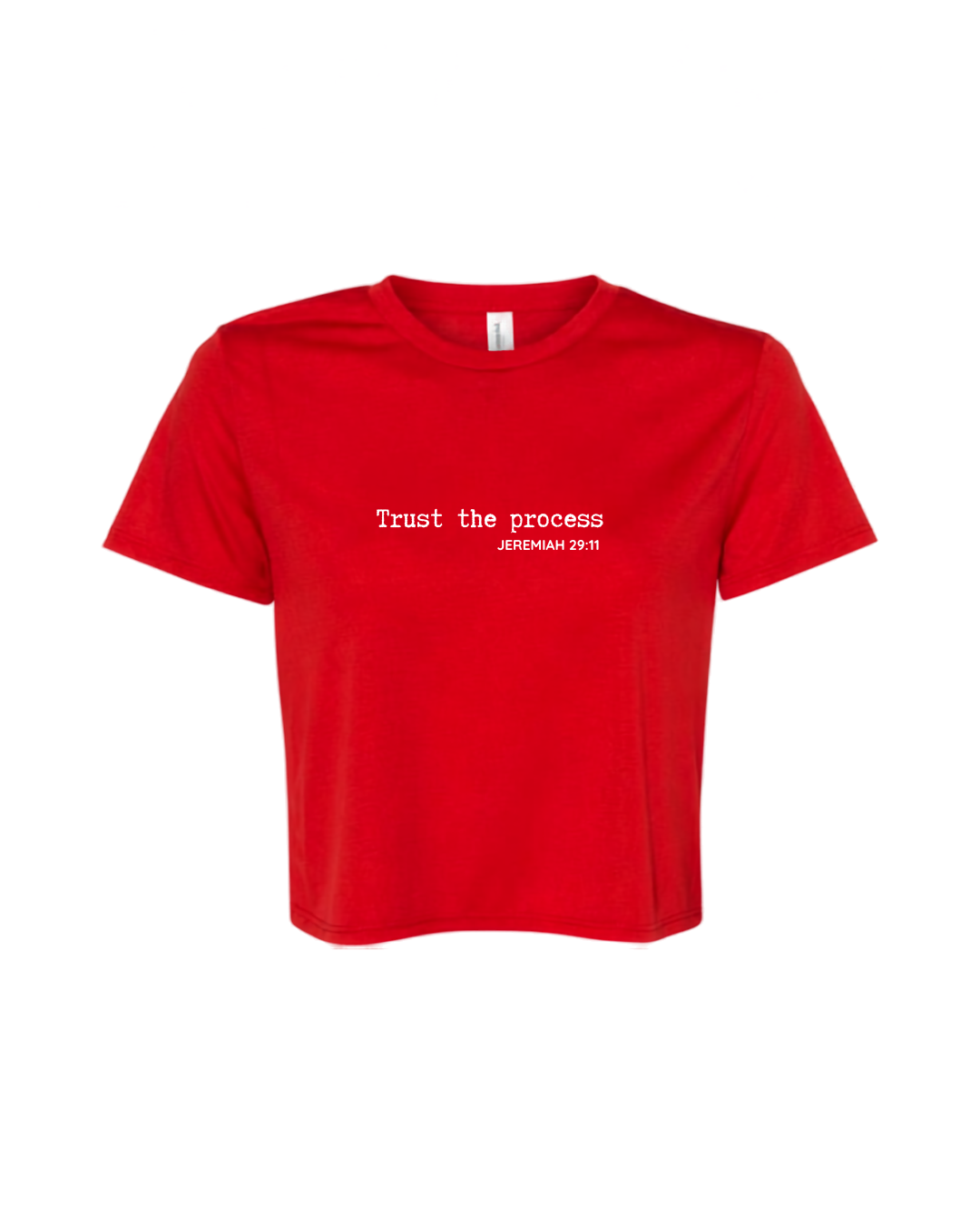 Trust the Process Crop Tee